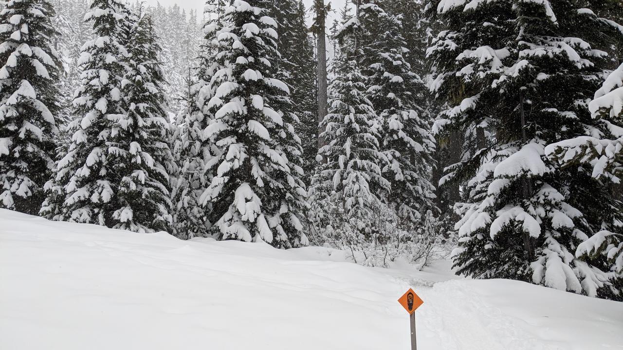 White Pass Log Cabin Luxury Retreat Rimrock المظهر الخارجي الصورة