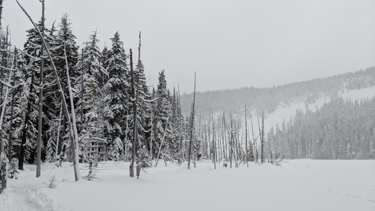 White Pass Log Cabin Luxury Retreat Rimrock المظهر الخارجي الصورة